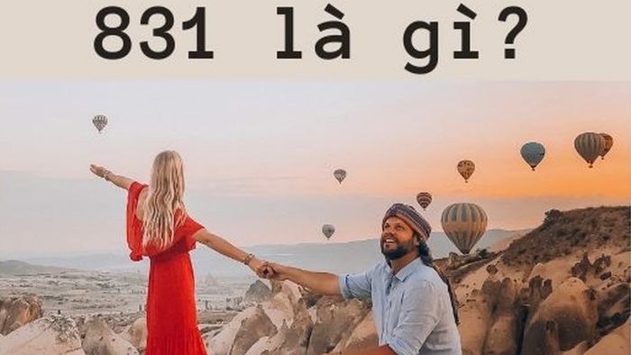 831 có nghĩa là gì